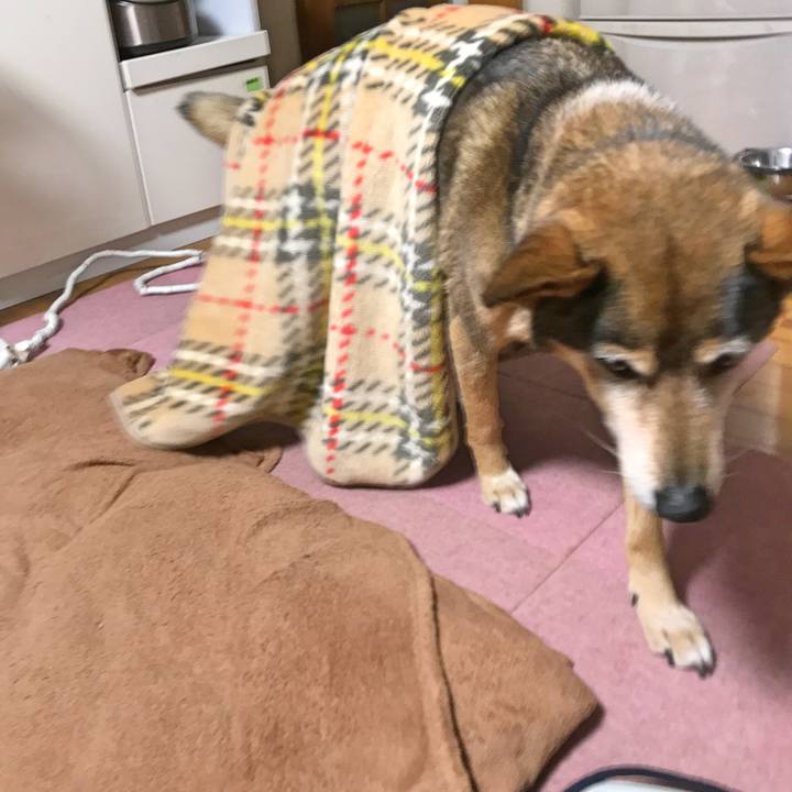 Aed4afc6 50ae 42f2 9fb0 923ee8d2ba04 1519746649820