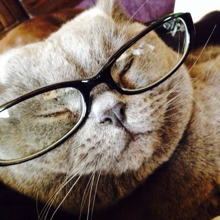 Aed4c1c4 1185 48bc 98b3 aa9588709bcf 1773480229311