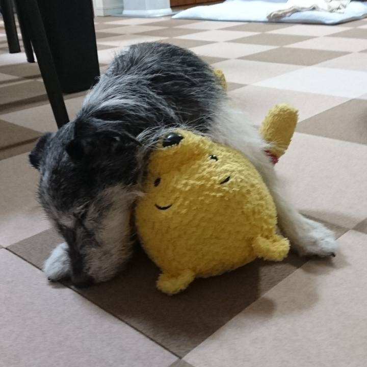 Aed4c6b1 3b72 4672 b150 c87c2dc0861d 1691111941191