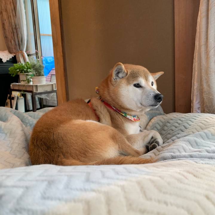 Aed4e484 b6b7 4f46 a3c3 346092dcdcd3 1615627698107