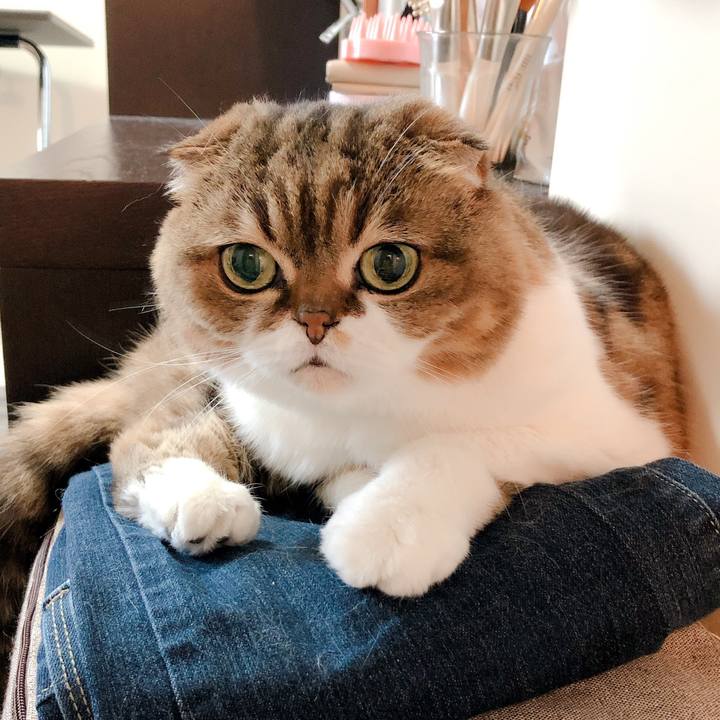 Aed509c3 9b03 4578 b1a7 afb06a4bdb97 1558062889369