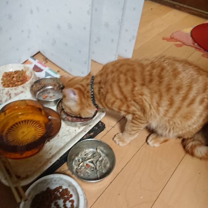 Aed517da 9f28 48ff b859 6a0ca115e4b1 1645700147583