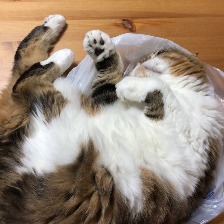 Aed563a5 7842 4aee 900a e25f9d47d23b 1538992120665