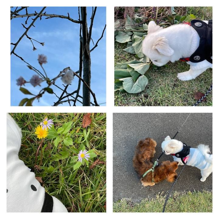 Aed56c1d ab59 4f1c 95b0 a32e0c8dff27 1729378452922