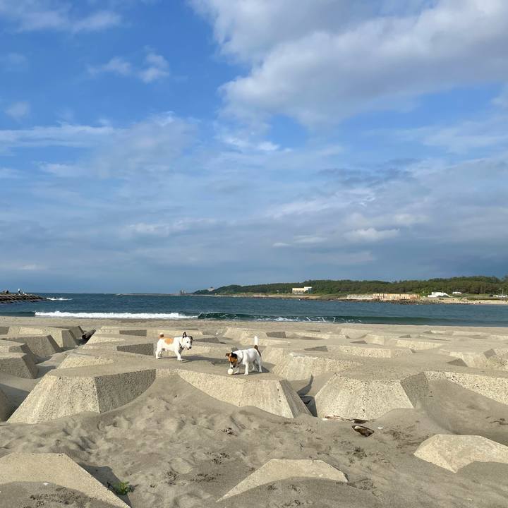 Aed56f95 55f1 4097 856a f6a3b81eddec 1686906424434