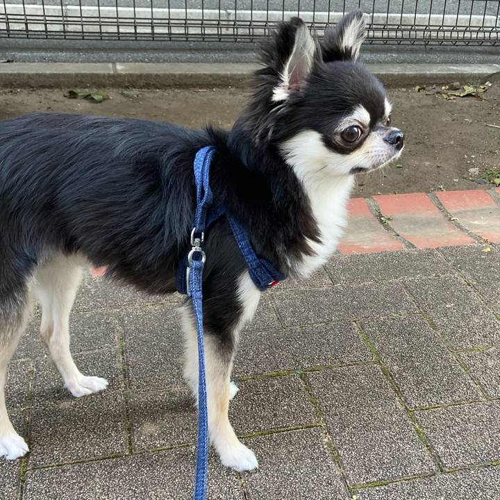 Aed5c148 42a4 4d06 b4e7 3e209a293d94 1626995423919