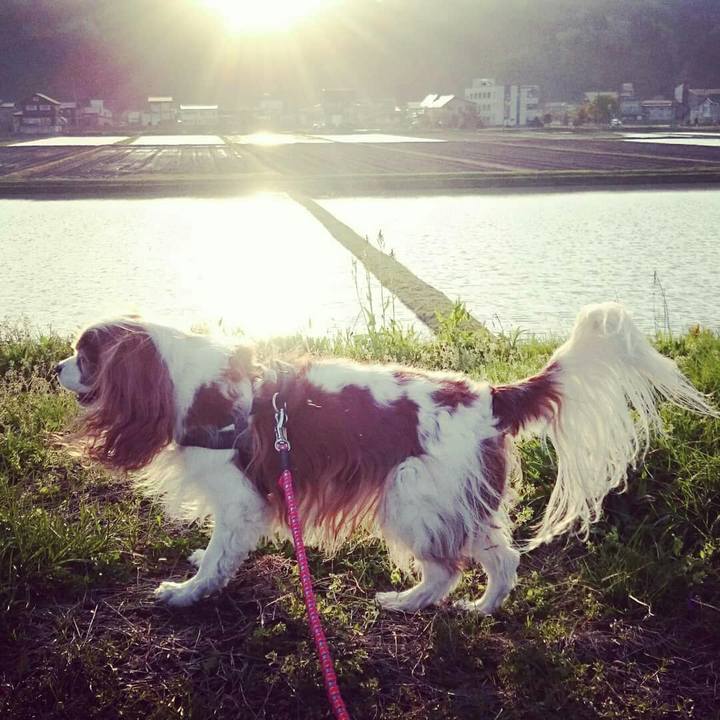 Aed5c33b afef 439b 8a9f b9fa321b3b5f 1556878025175