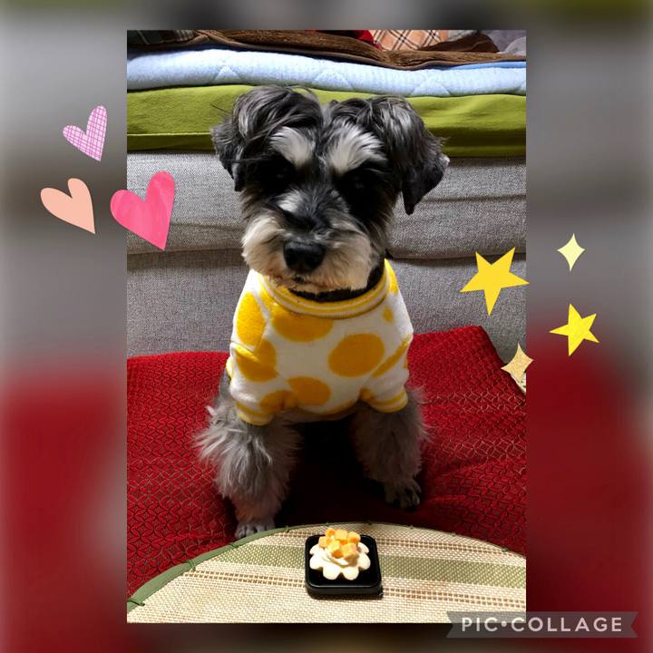 Aed5da39 cec3 43bc 88c5 8b8d2172e4b1 1641389430875