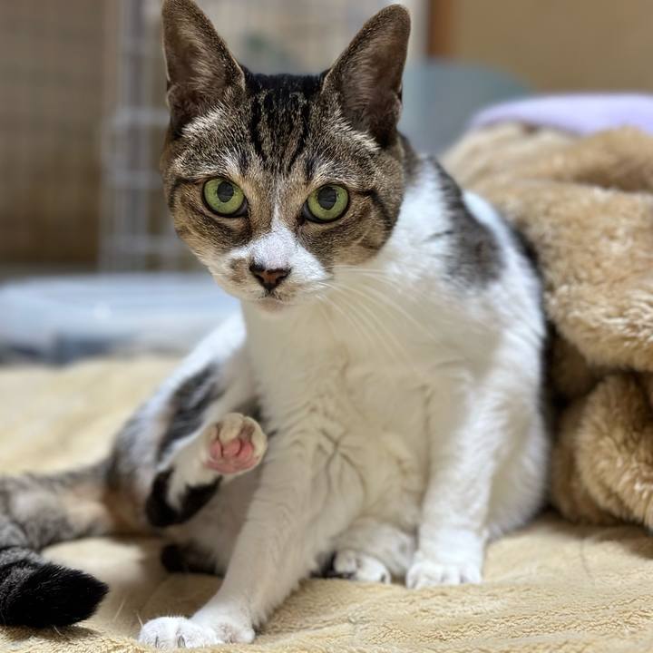 Aed5fc9a b6f1 40ff 9b24 a91a01882714 1673829567357