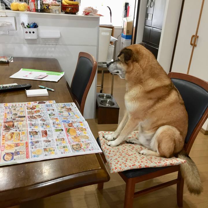 Aed6058b 3db3 4801 bf25 ded6e9c0878a 1585628966985