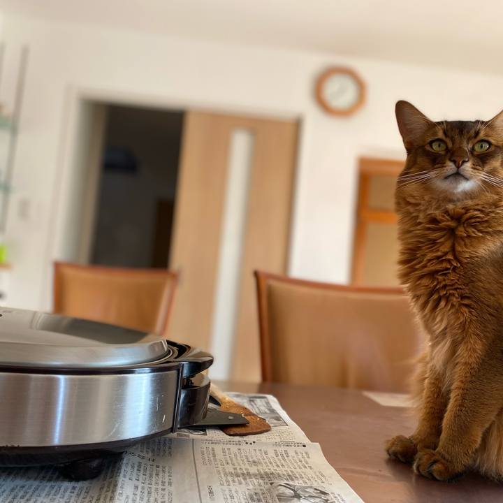 Aed61072 3c9d 4d1d 9239 00d42d0cf3d5 1697421768856