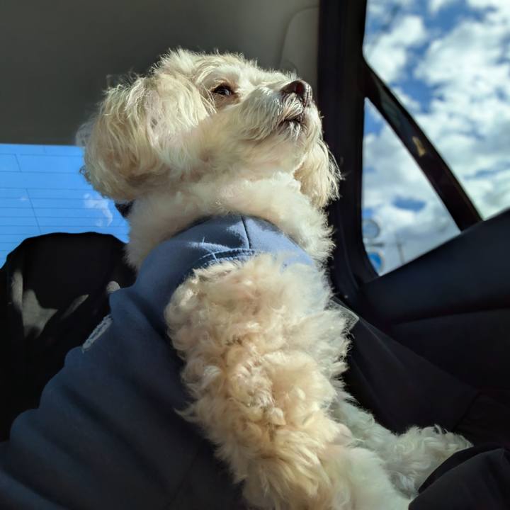 Aed641a0 7f67 49b7 94b6 83aced02cc11 1762767849529