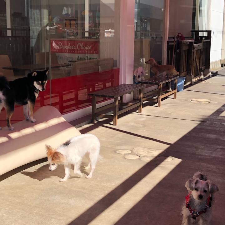 Aed67040 a02b 4894 bc2b b7fff54eecb6 1613883964154