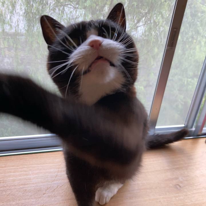 Aed69f9f 6138 4ffb 812e 8b76dfb0755b 1628256043284