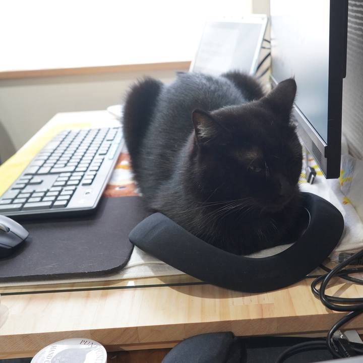 Aed6b0d4 4232 4b0f ba26 b67fe7c9c787 1601390103593