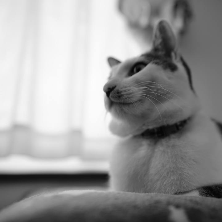 Aed6b951 c962 4686 bdd5 7c9b1964ce47 1544399851877