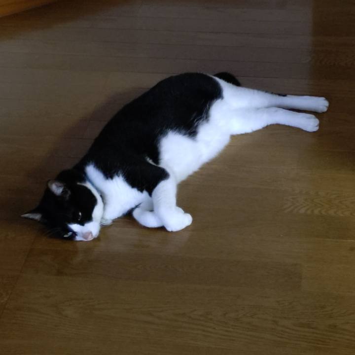 Aed6cb8f 059f 4af2 8bbc 22d314e04416 1751069009203