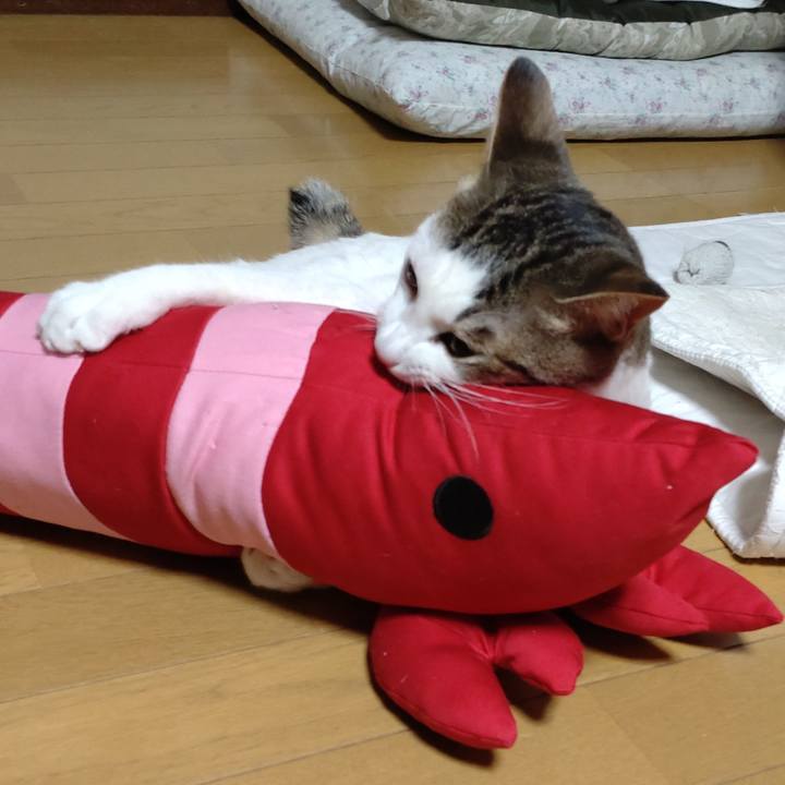 Aed6d893 7241 40e1 a1c0 c40047b6bffc 1672732723376