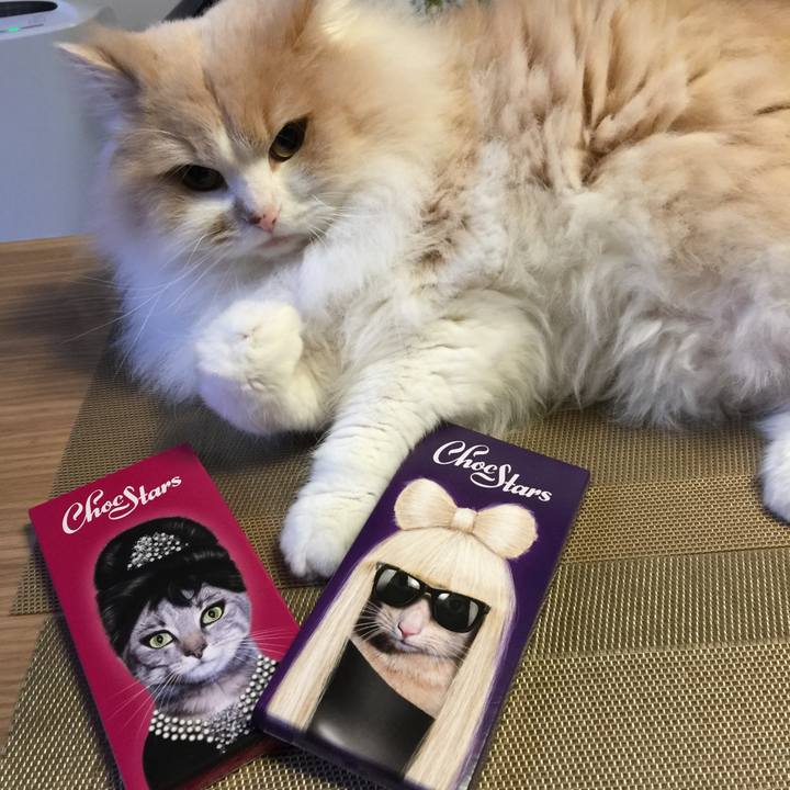 Aed6df45 3990 4dd6 8ff9 40ac9fc2d2a3 1549771982839