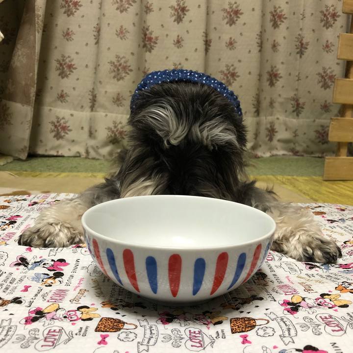 Aed70936 ecb4 4c27 b799 2df17cfbeefd 1555384412263