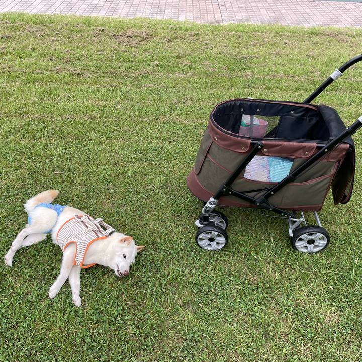 Aed739dc 6c91 488e adf7 85e4a1136e86 1656763129874