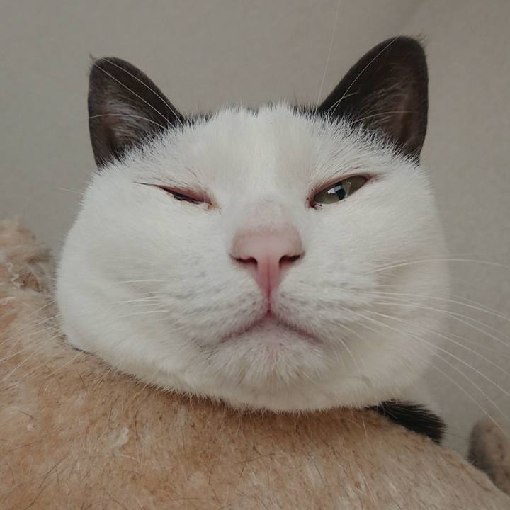 Aed74180 f521 4fc5 811d 58932403d2a1 1513478042893