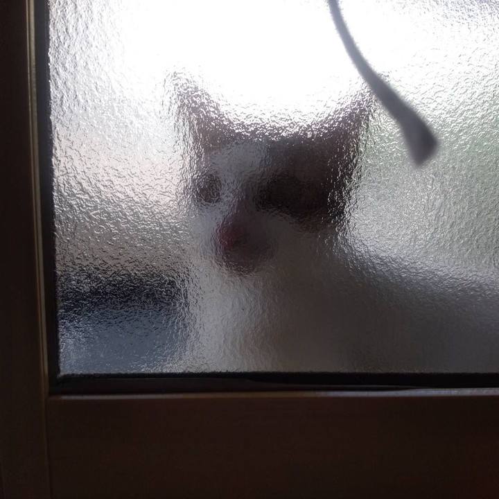 Aed749a4 3070 45b9 a21b f88fd13b94e0 1659244121095