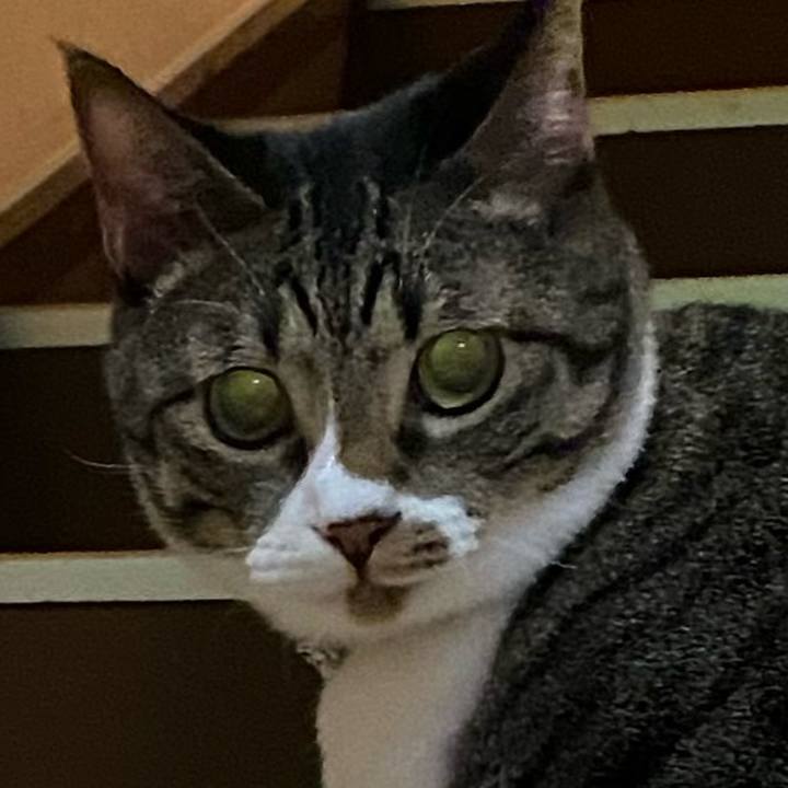 Aed7708a 8206 4002 aba4 9eb0c0580254 1732961195418