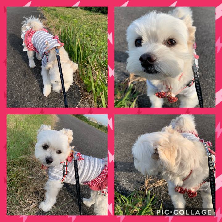 Aed789eb 59ae 49e5 9e75 f2c6d4ce4bfb 1604213715183