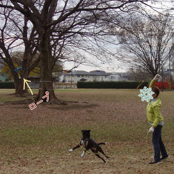 Aed7cf38 ddf6 4b36 b50c 6dc5f5f39f84 1639096446590