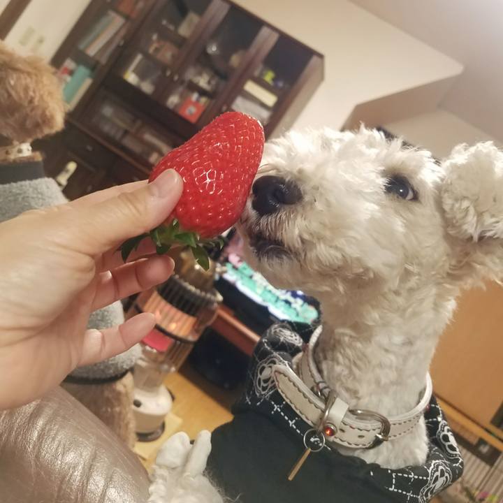 Aed7d0d6 07c4 49ad b98d 81508c6d3e6d 1549631324445