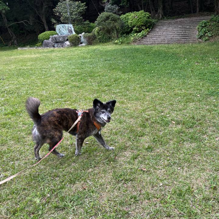 Aed824a3 040f 4859 991c 2af4e8fb8c20 1746998887731