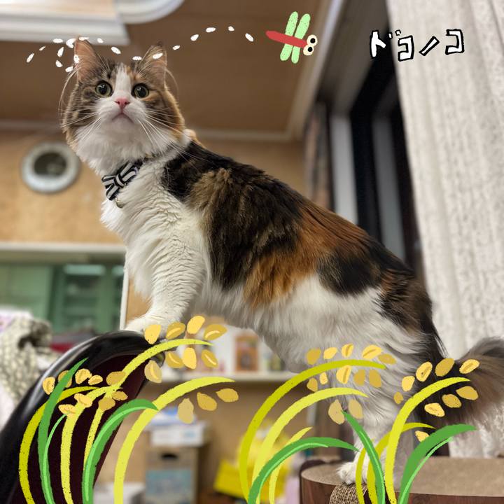 Aed843c4 0697 428a 82c9 fd1eb530dc2c 1761780841845