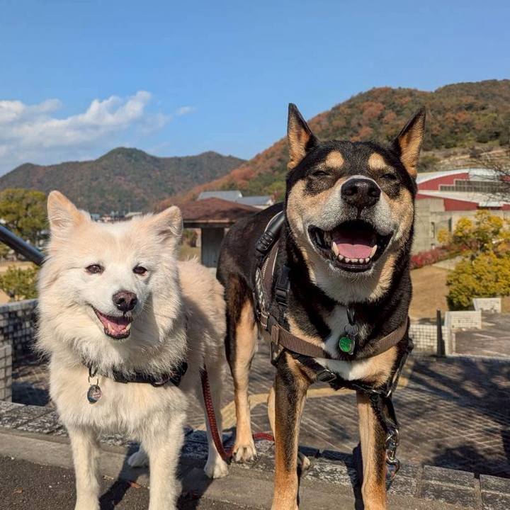 Aed878bf f5c6 49e7 bc8b 2c6cbabe9212 1767188405478