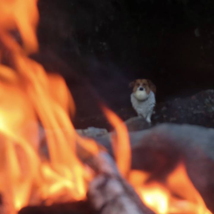 Aed8c3c1 f04c 4ad8 a44b 2f67253ff914 1698708299973