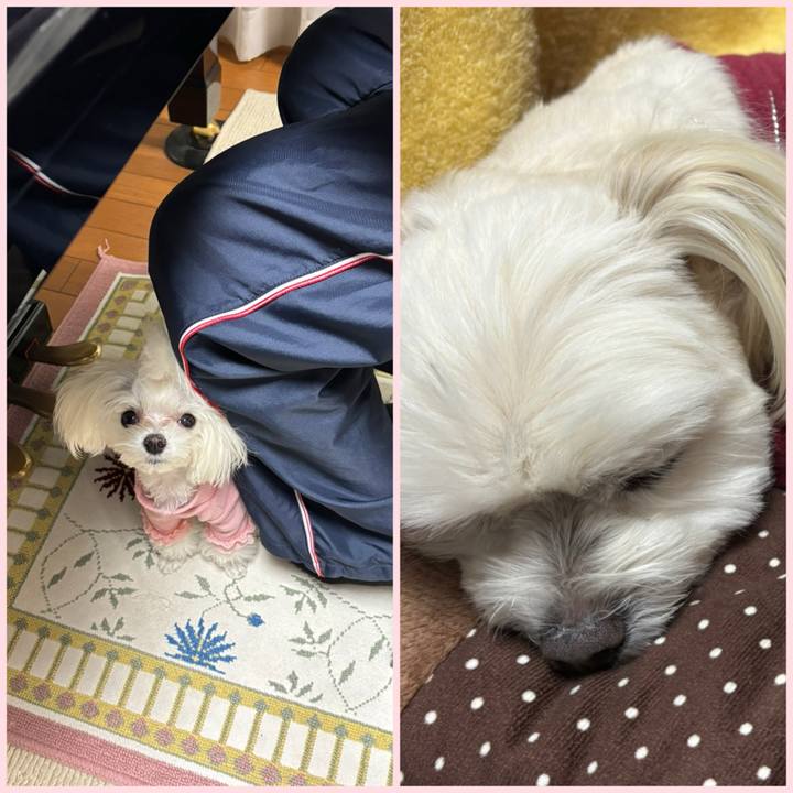 Aed8c541 3771 44ac 9f81 09020b0c905c 1735205433818