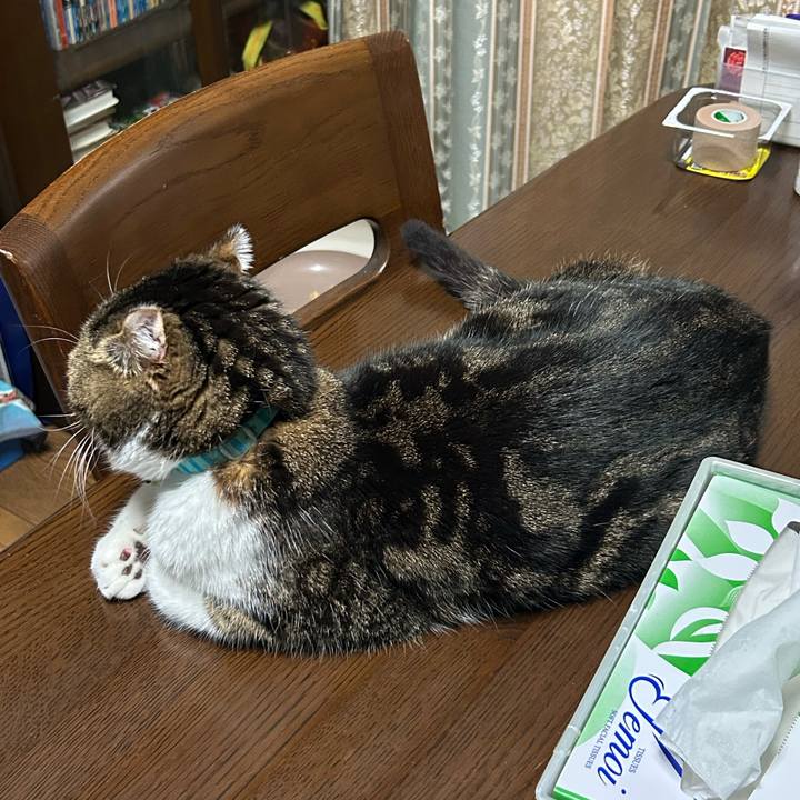 Aed8da6e 87cc 4366 988b deacd42c85b2 1764713605984