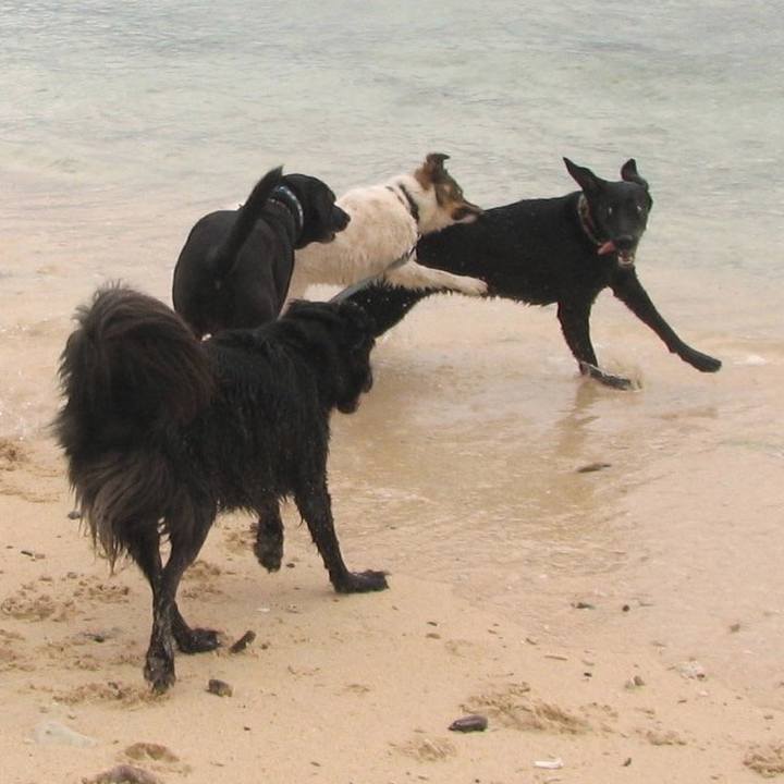 Aed8e9c9 f4f2 4e59 87aa 2cf9d7550cf0 1746256096491