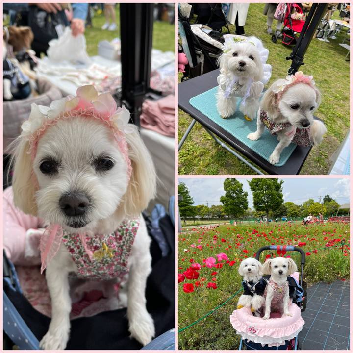 Aed913a2 44ed 4e05 954d a9d6d9a45259 1683966141349