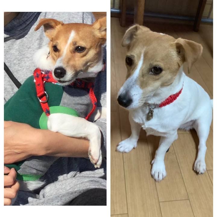 Aed96130 d13a 47ec b436 0489c88f3bf5 1564485206151