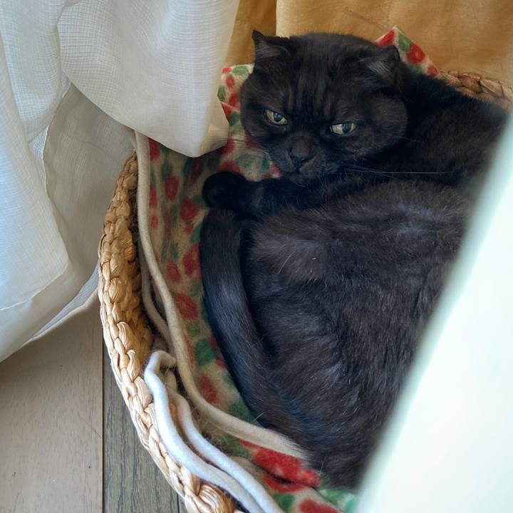 Aed964e5 151a 464b 916f b3bf85169257 1604299575622