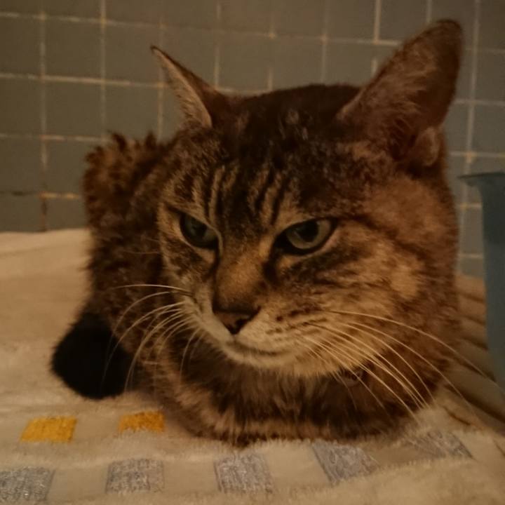 Aed966e0 93f4 4c96 9308 63b4bd7b32ca 1583231636474