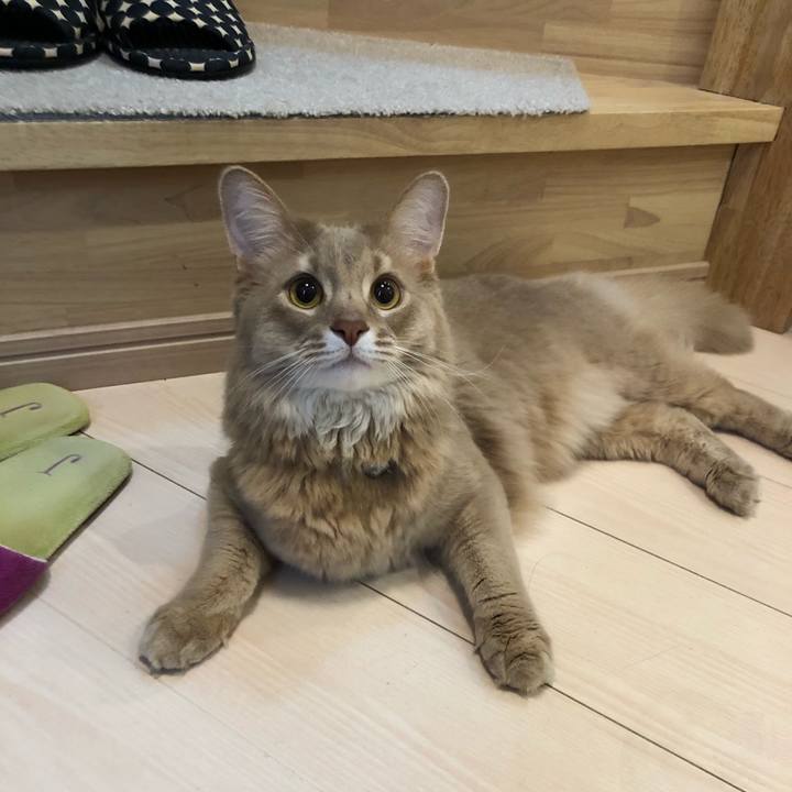 Aed96b5d 27b4 4b2d b85d d06f101bec1b 1580957148437