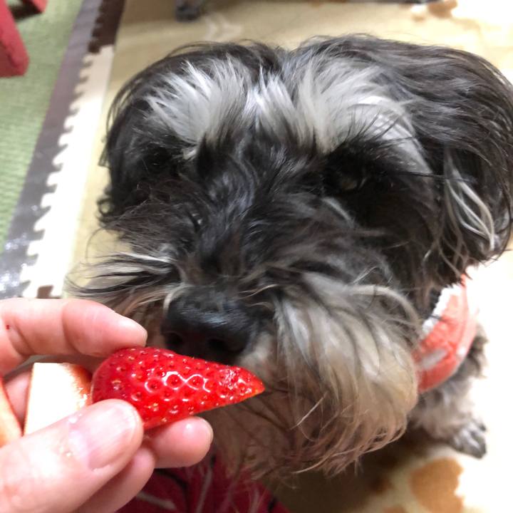 Aed978d2 0368 404c b6df 1335e4d9a5b2 1554808146472