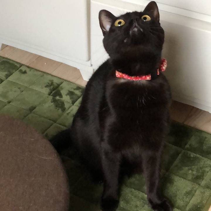 Aed97c78 4694 4314 b41f 35d431af4672 1521597910084