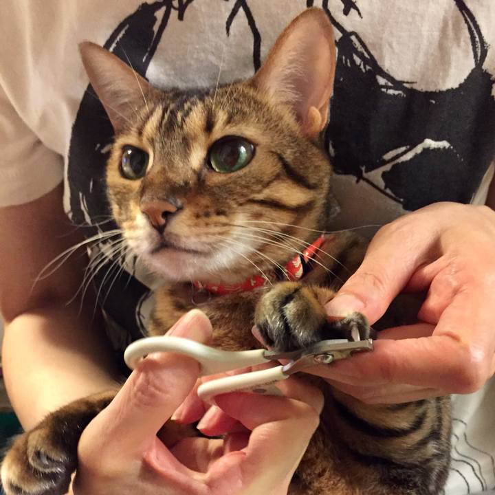 Aed98c53 5f8a 4ae5 a8f7 e90d74aa2521 1537480275523