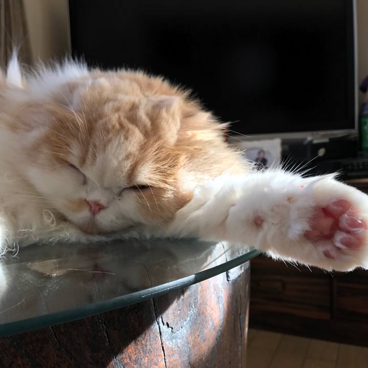 Aed997b4 1e94 4e59 a761 d0d5b0be53f9 1511441393673