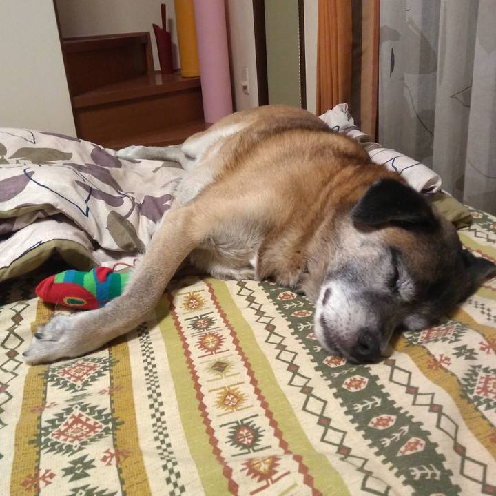 Aed99c28 120a 4899 8358 a7708ebd1e5f 1546873446358