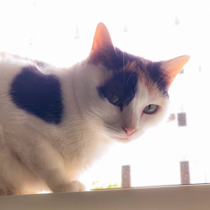 Aed99f81 110d 4ffc aa40 91252dcc6f18 1562031803285