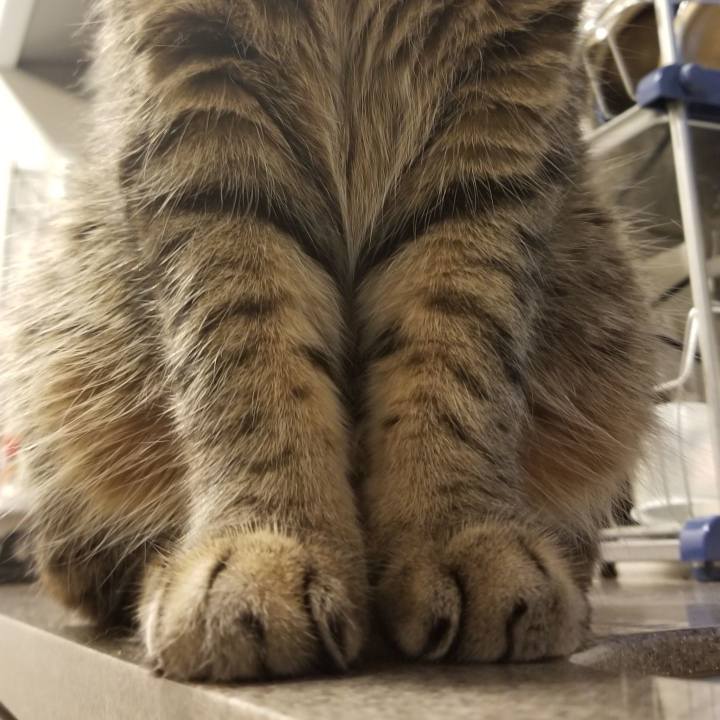 Aed9a180 21e0 44b2 848b 9a07ca7f4bc1 1559684346645